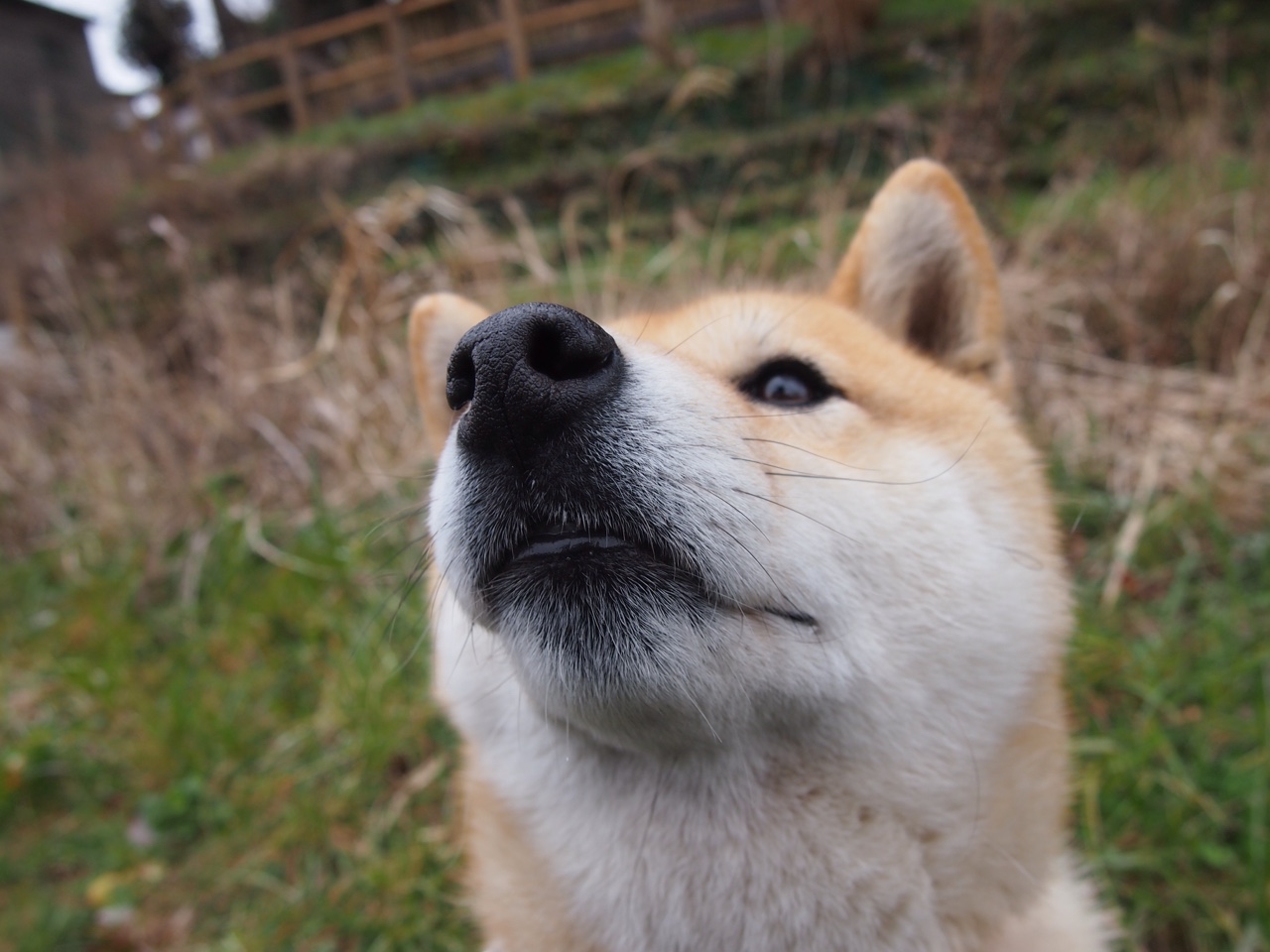 开云网页版登录入口-VALORANT 线上联赛火爆进行，valorant s赛