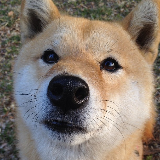 “夜色狂飙:夜晚赛段的紧张刺激”,夜色dj2016粤语