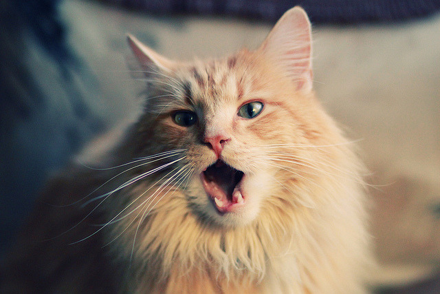 《VR电竞体验:沉浸式比赛成为可能》,vr沉浸式体验是什么意思