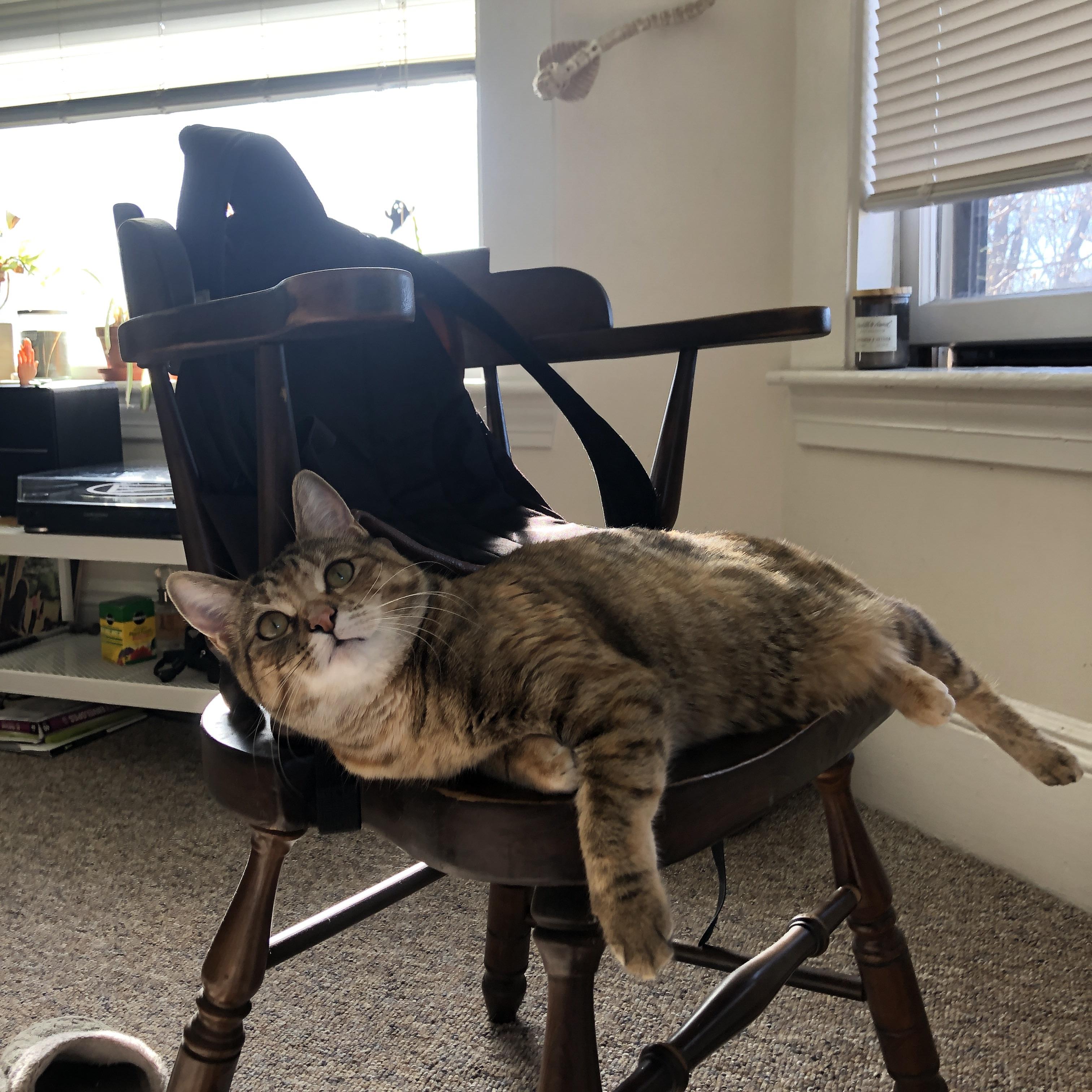 【传感器奇兵】球速、旋转、轨迹一览无遗,为投手“Quantify”技能!