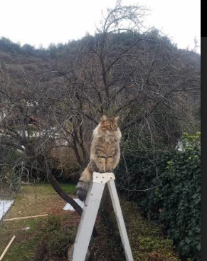 kaiyun网站-篮球职业联赛品牌推广活动多样化，篮球比赛推广方案