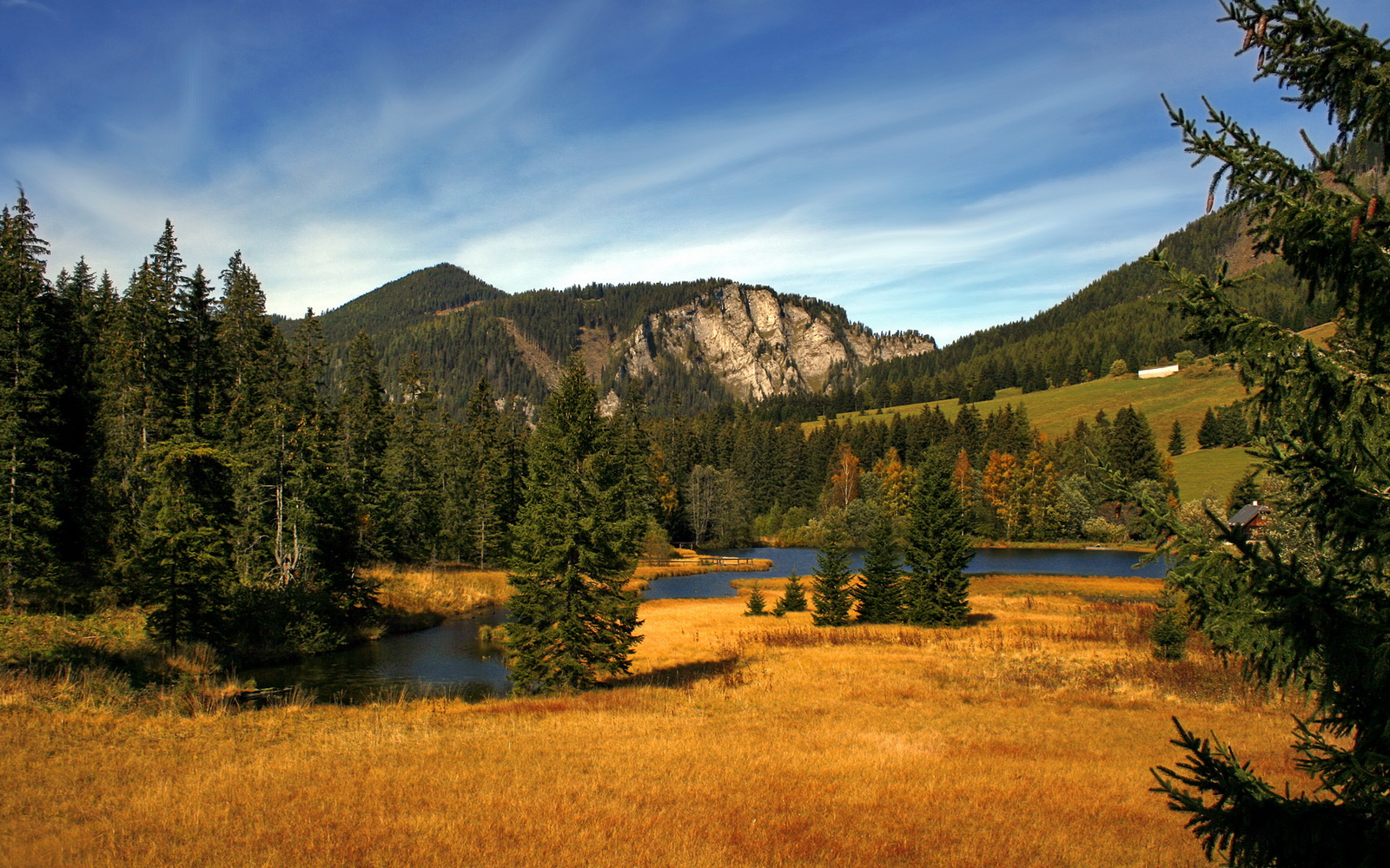 开云体育APP下载-费兰·托雷斯加盟切尔西，费兰托雷斯踢什么位置