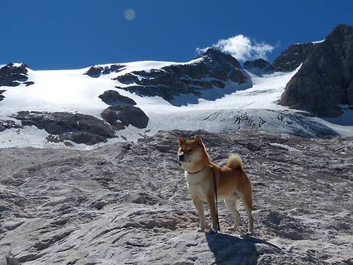 开云网页版登录入口-关键时刻！欧洲杯预选赛中的胜负悬念，欧洲杯预选赛全胜