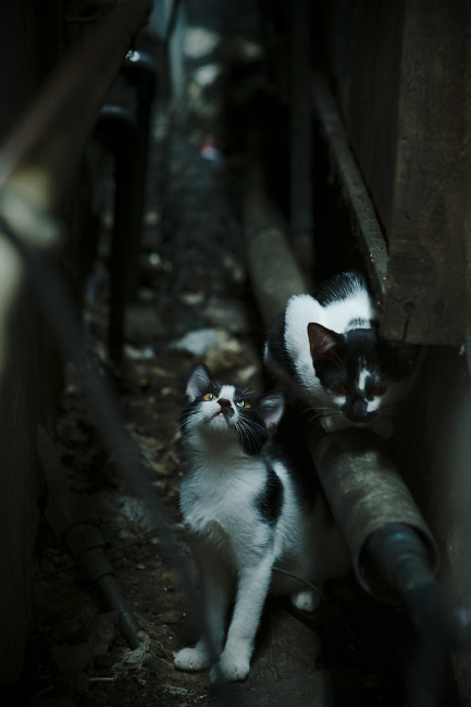 开云官方网页登录-尤文签下实力中场，尤文全场