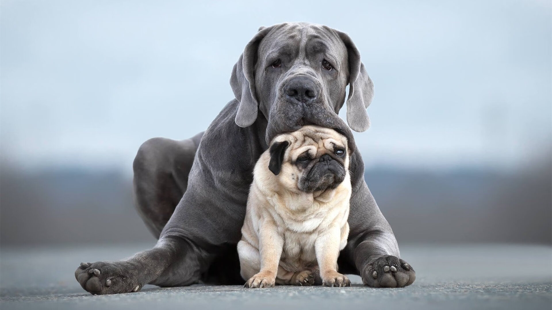 开云官方-比利时大胜瑞典，提前晋级淘汰赛，比利时大胜瑞典,提前晋级淘汰赛了吗