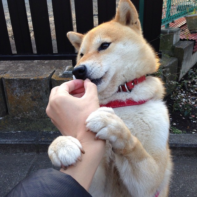 电竞赛事赞助合作的策略与案例，电竞赞助商