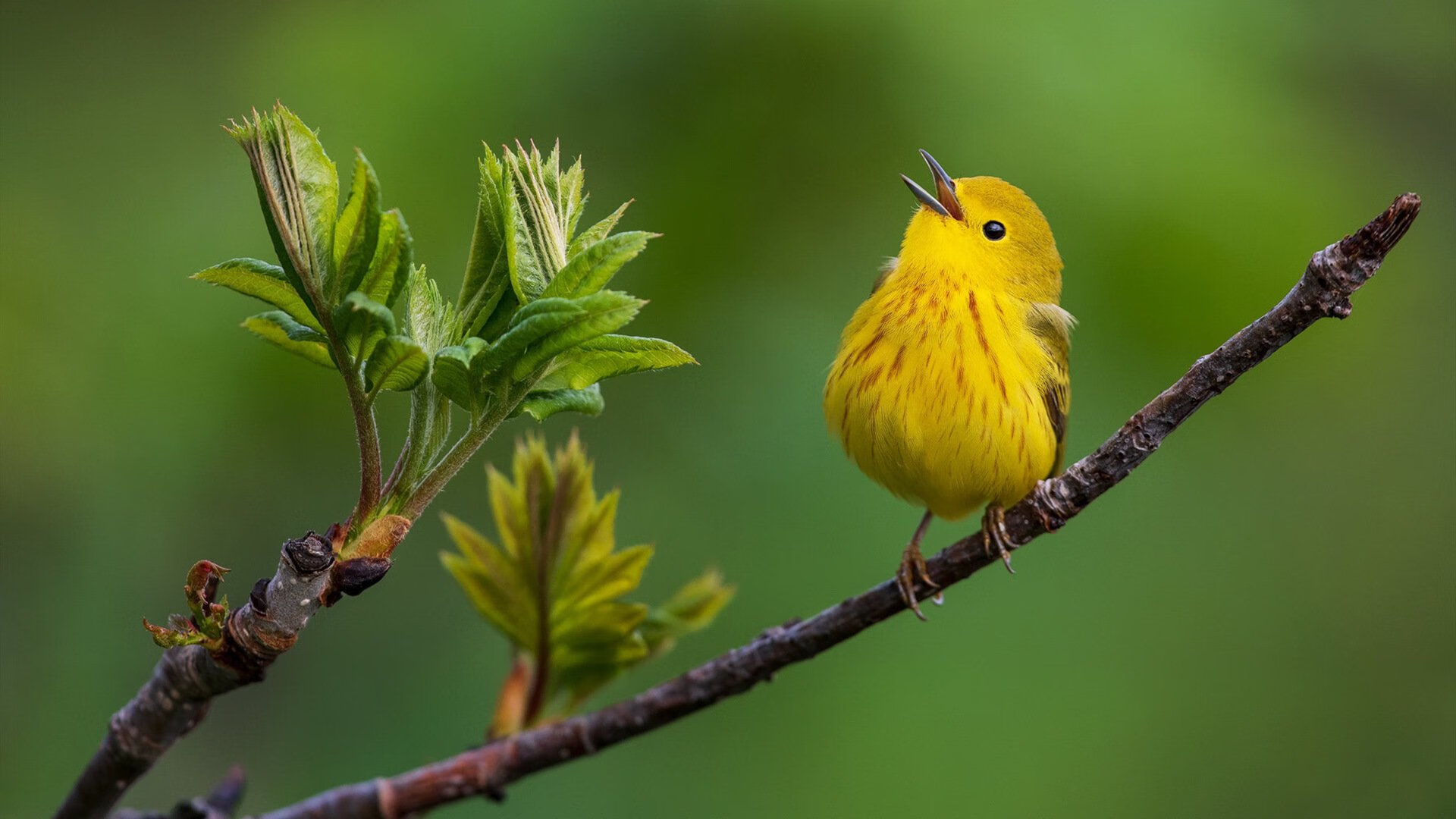 国足队长领导力与场上执行力关系分析,国足队长是