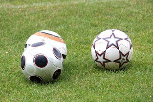 开云kaiyun-未来足球市场：数字资产与足球产业的融合，足球概念数字货币