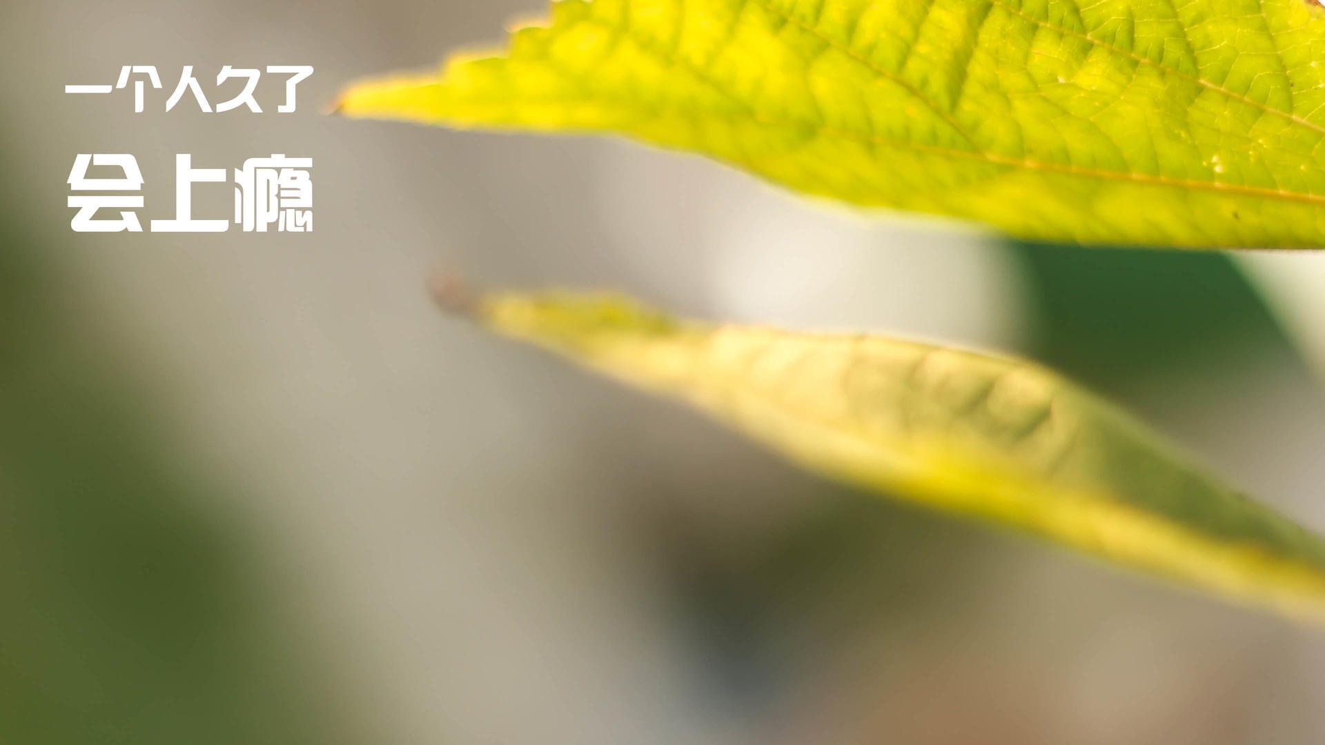 中国男篮加强篮板争夺 提升二次进攻效率,中国男篮晋级