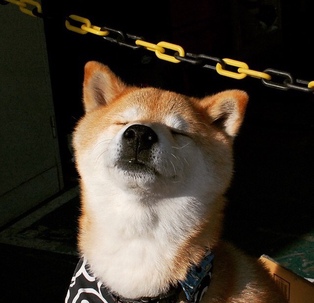 “亚戈·卡尔曼：阿根廷美洲狮队的力量与技巧并存的核心”