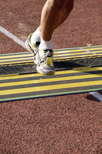 开云·体育官网-国际体操锦标赛中国女队夺冠，国际体操联合会裁判