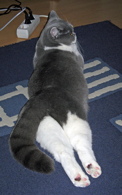 kaiyun网站-林丹回忆初次夺冠称压力前所未有，林丹dzs