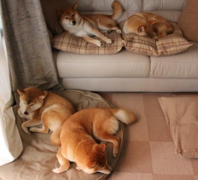 梅西突破全场防线，助阿根廷重振士气